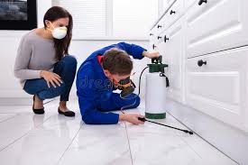 Best Pest Prevention Services  in Erath, LA